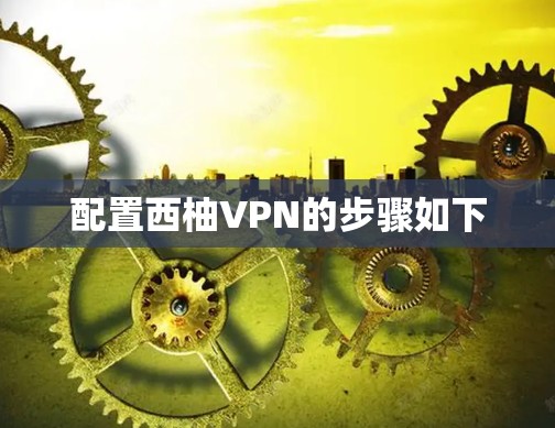 配置西柚VPN的步骤如下 配置西柚VPN的步骤如下