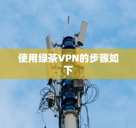 使用绿茶VPN的步骤如下 使用绿茶VPN的步骤如下