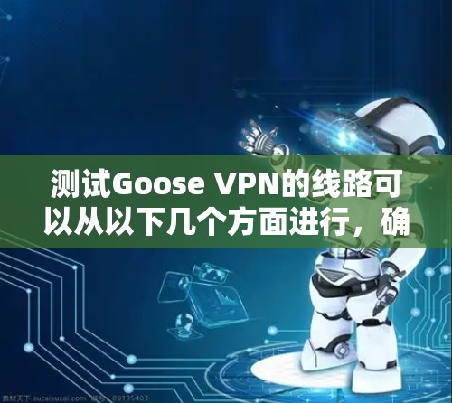 测试Goose VPN的线路可以从以下几个方面进行,确保其速度、稳定性和安全性 测试Goose VPN的线路可以从以下几个方面进行,确保其速度、稳定性和安全性