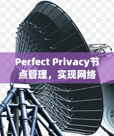 Perfect Privacy节点管理,实现网络安全与性能优化 Perfect Privacy节点管理,实现网络安全与性能优化