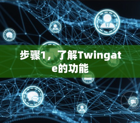 步骤1,了解Twingate的功能 步骤1,了解Twingate的功能