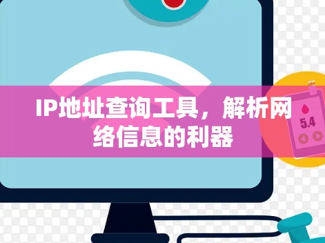 IP地址查询工具，解析网络信息的利器