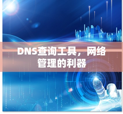 DNS查询工具，网络管理的利器