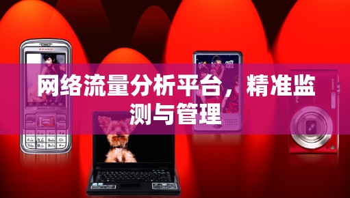 网络流量分析平台,精准监测与管理 网络流量分析平台,精准监测与管理