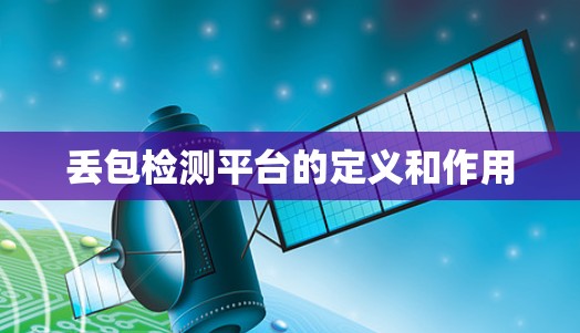 丢包检测平台的定义和作用