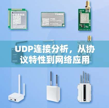 UDP连接分析，从协议特性到网络应用