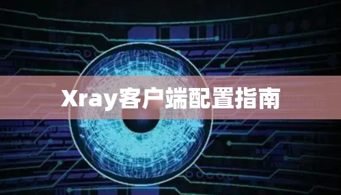 Xray客户端配置指南 Xray客户端配置指南
