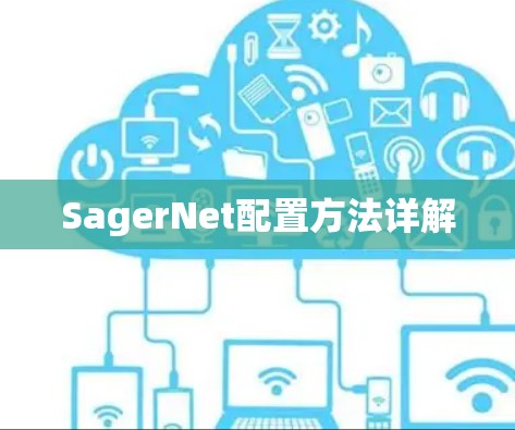 SagerNet配置方法详解 SagerNet配置方法详解