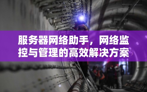服务器网络助手,网络监控与管理的高效解决方案 服务器网络助手,网络监控与管理的高效解决方案