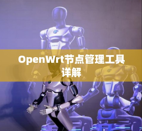 OpenWrt节点管理工具详解