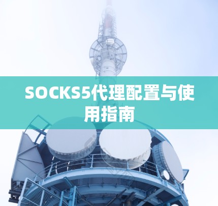 SOCKS5代理配置与使用指南