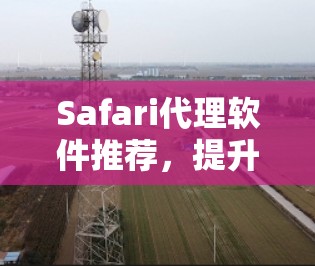 Safari代理软件推荐，提升网络访问效率的秘密武器