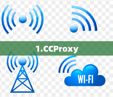 1.CCProxy 1.CCProxy