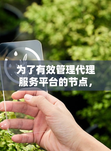 为了有效管理代理服务平台的节点，以下是一个有条理的步骤指南