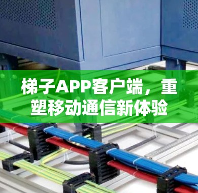 梯子APP客户端，重塑移动通信新体验