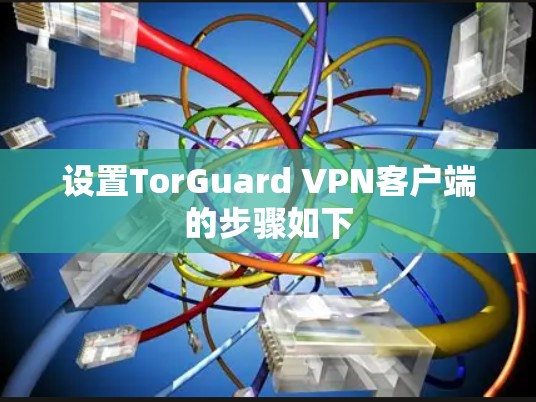 设置TorGuard VPN客户端的步骤如下 设置TorGuard VPN客户端的步骤如下