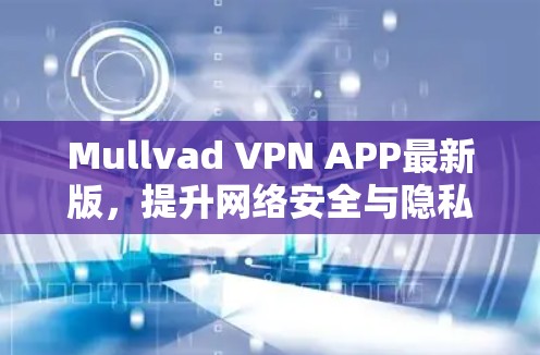 Mullvad VPN APP最新版，提升网络安全与隐私保护能力
