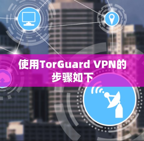 使用TorGuard VPN的步骤如下