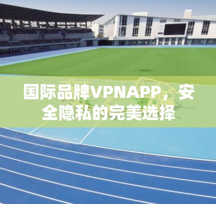 国际品牌VPNAPP，安全隐私的完美选择