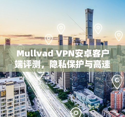 Mullvad VPN安卓客户端评测，隐私保护与高速网络的双重保障