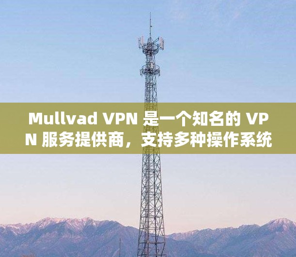 Mullvad VPN 是一个知名的 VPN 服务提供商,支持多种操作系统,包括 Windows。以下是使用 Mullvad VPN 在 Windows 系统上的基本步骤和注意事项 Mullvad VPN 是一个知名的 VPN 服务提供商,支持多种操作系统,包括 Windows。以下是使用 Mullvad VPN 在 Windows 系统上的基本步骤和注意事项