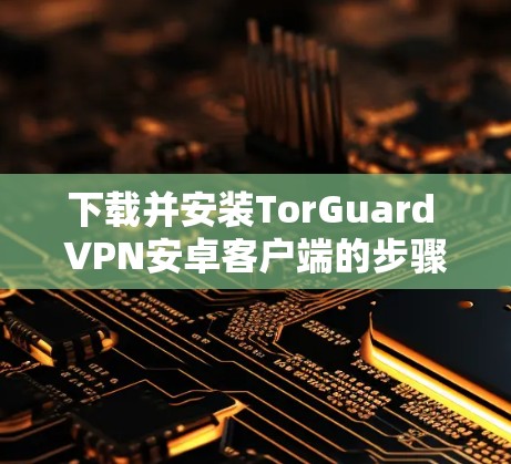 下载并安装TorGuard VPN安卓客户端的步骤如下